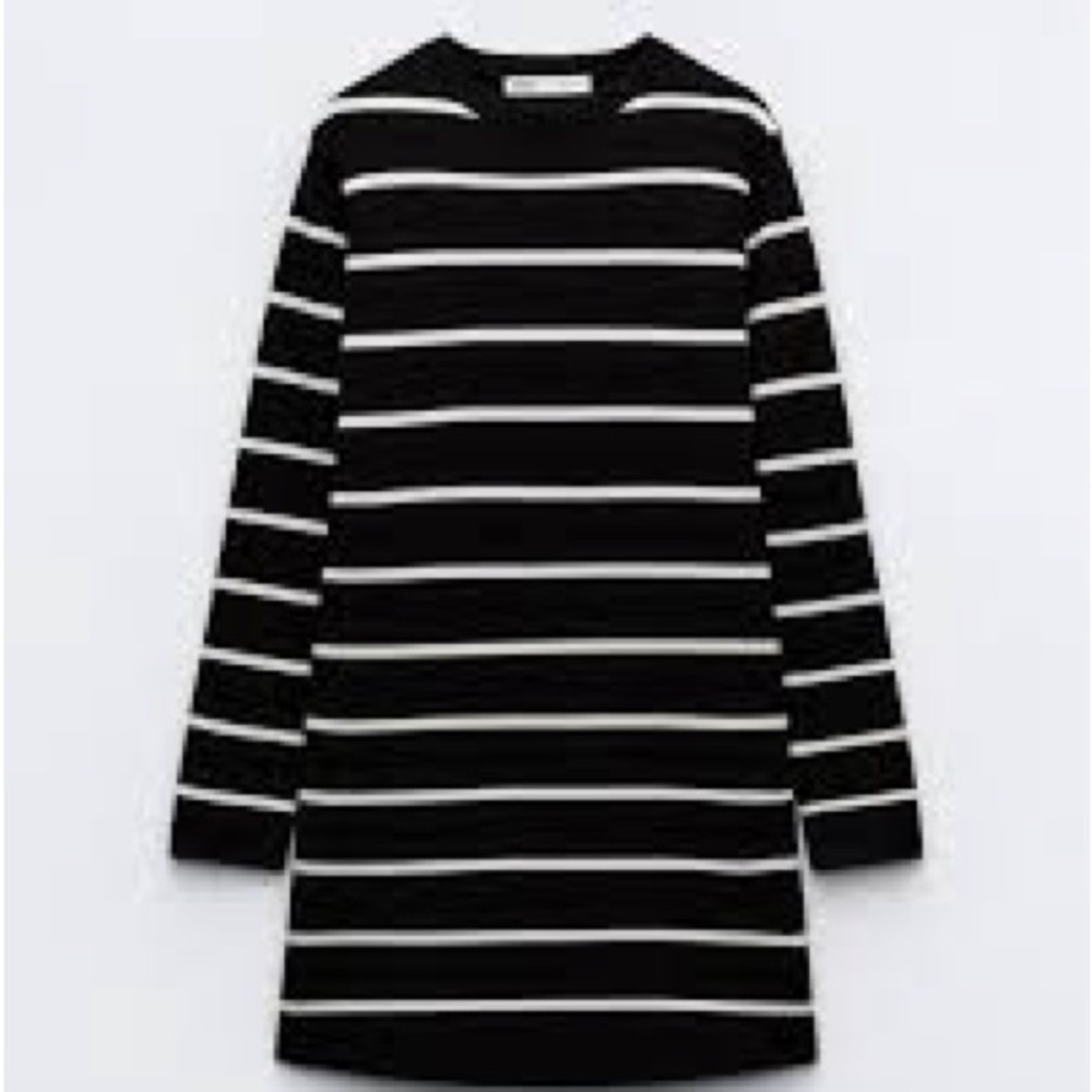 Zara Sweater striped Mini Dress Large